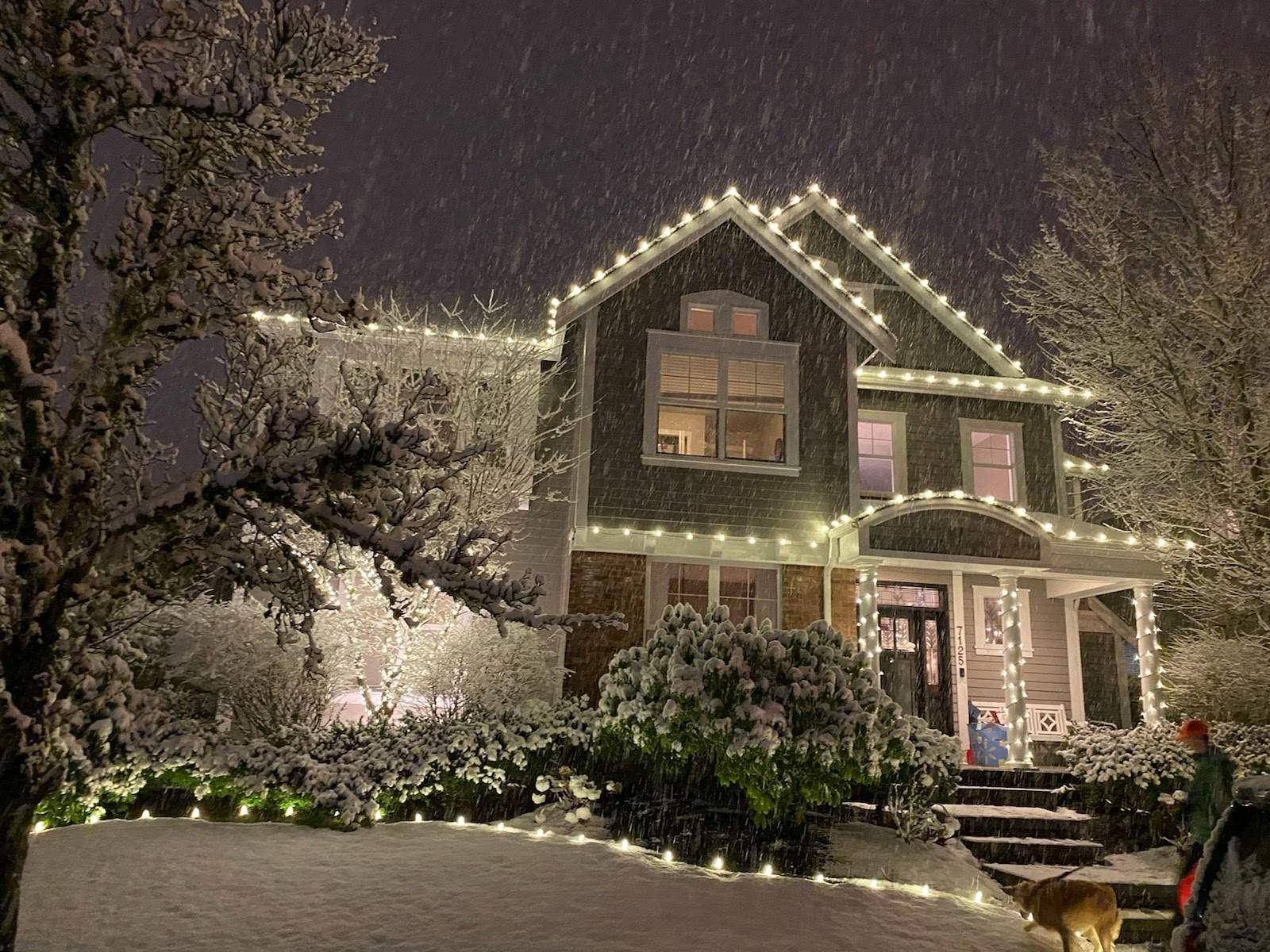 Holiday Light Gallery by WindowWorks