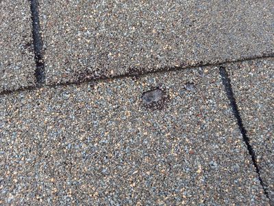 Residential Roofing Repair - 5 year old roof