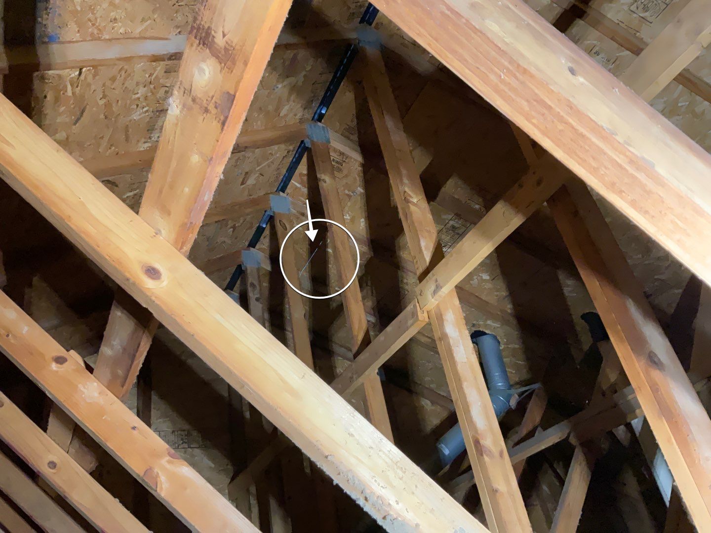 Residential Roofing Repair using XT-25 Shingles by Alpha Design Services