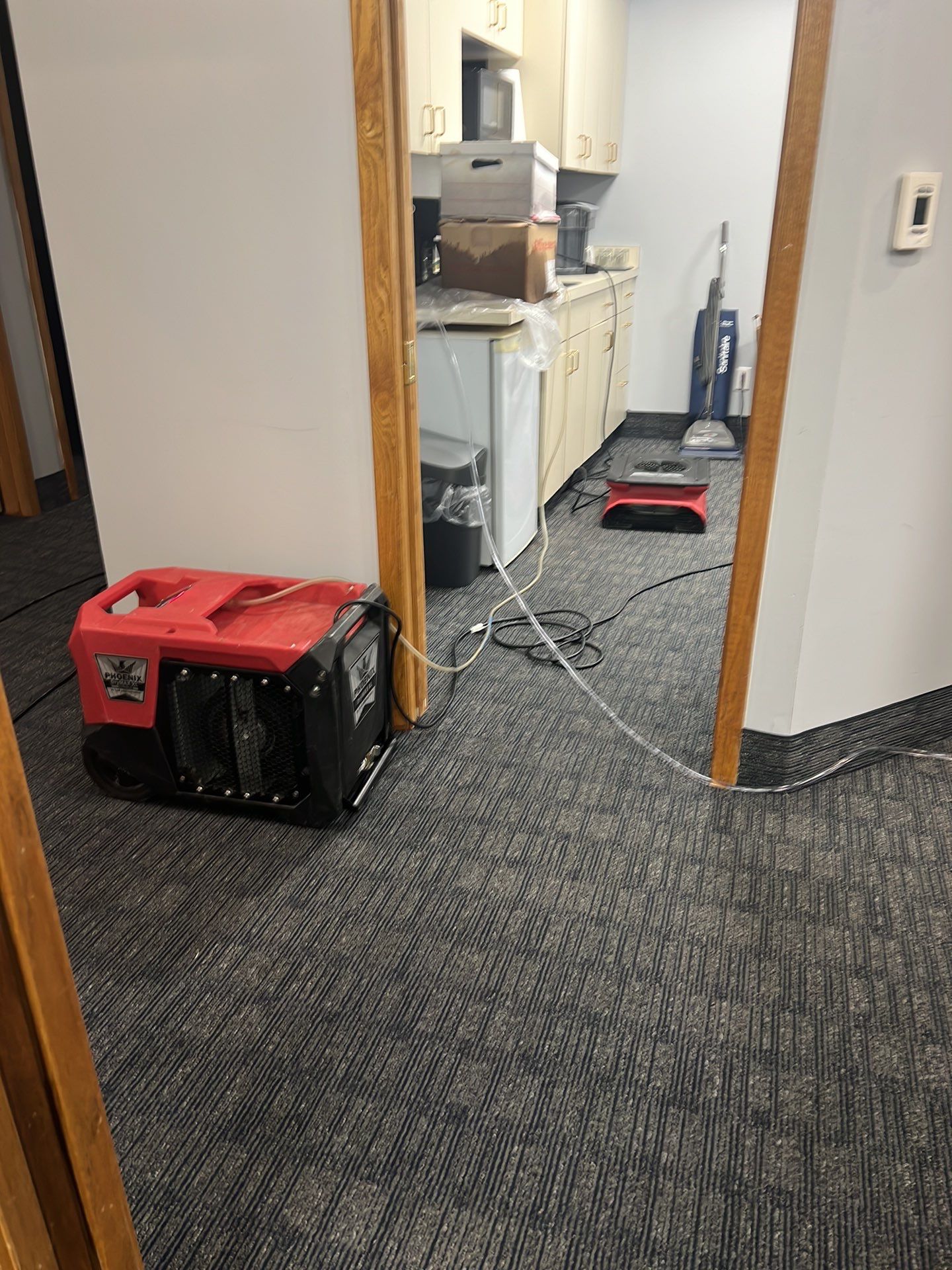 Project in Southfield by EzDry Water Mitigation & Property Restoration