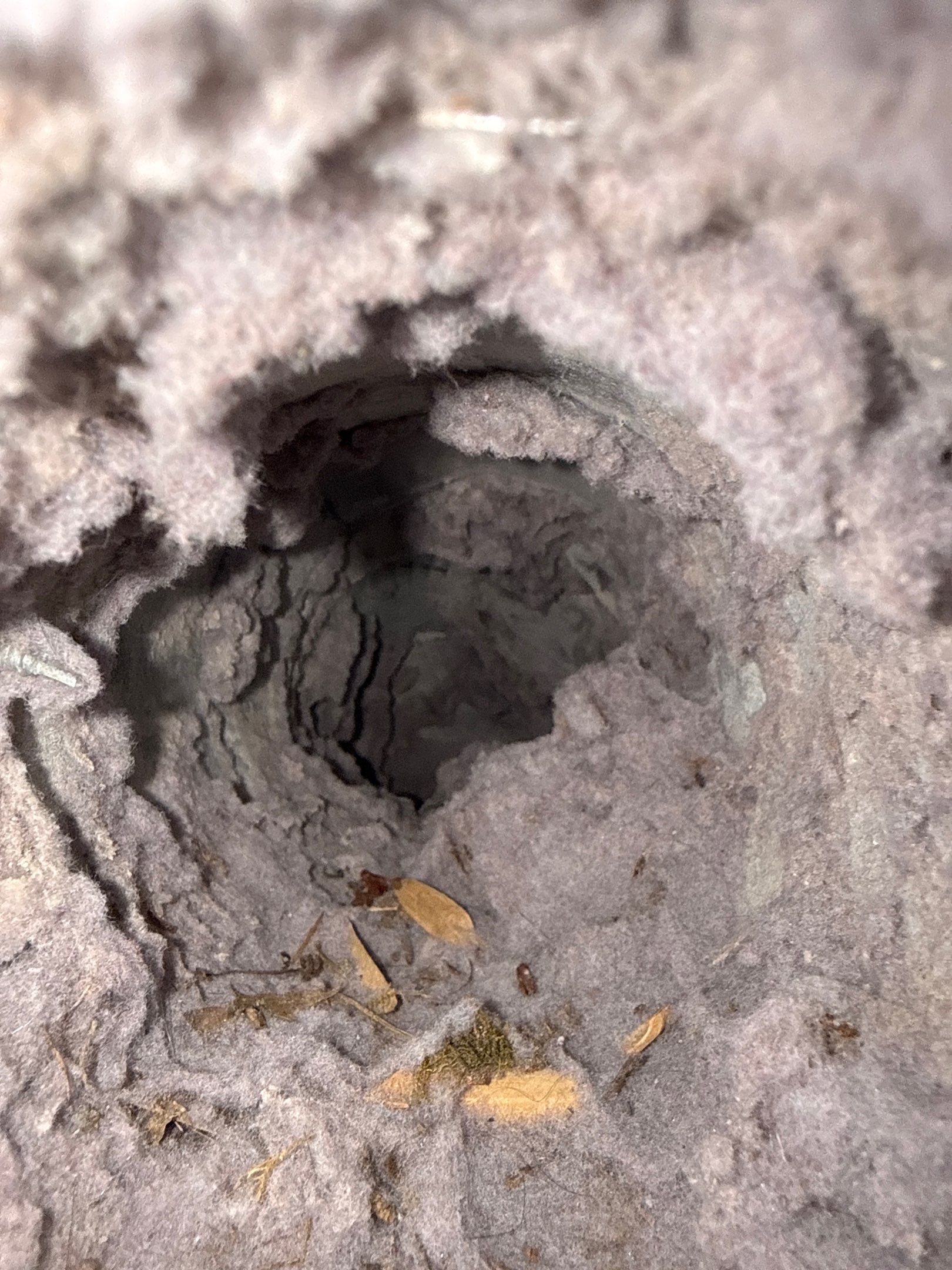 Dryer Vent Cleaning in Poland, OH by Superior Air Duct Cleaning