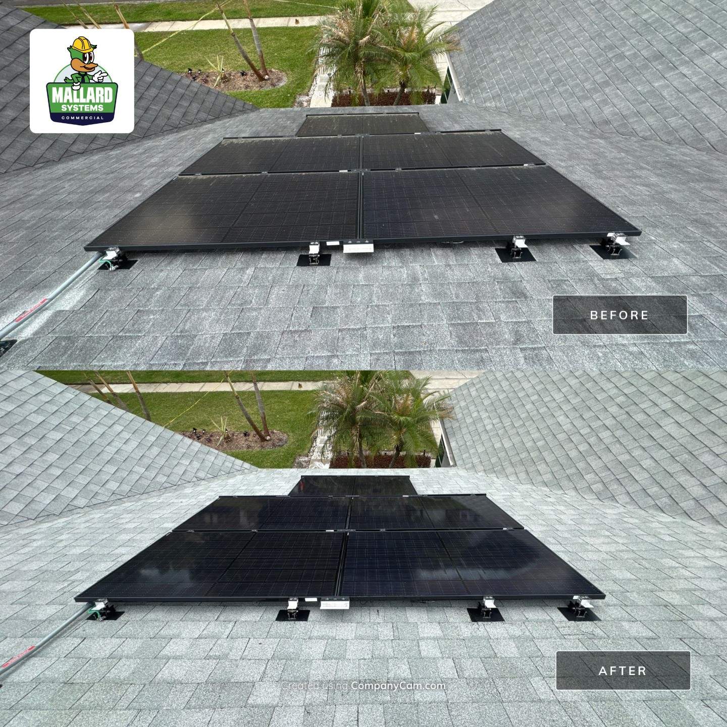 Roof & Solar Panel Cleaning by Mallard Systems