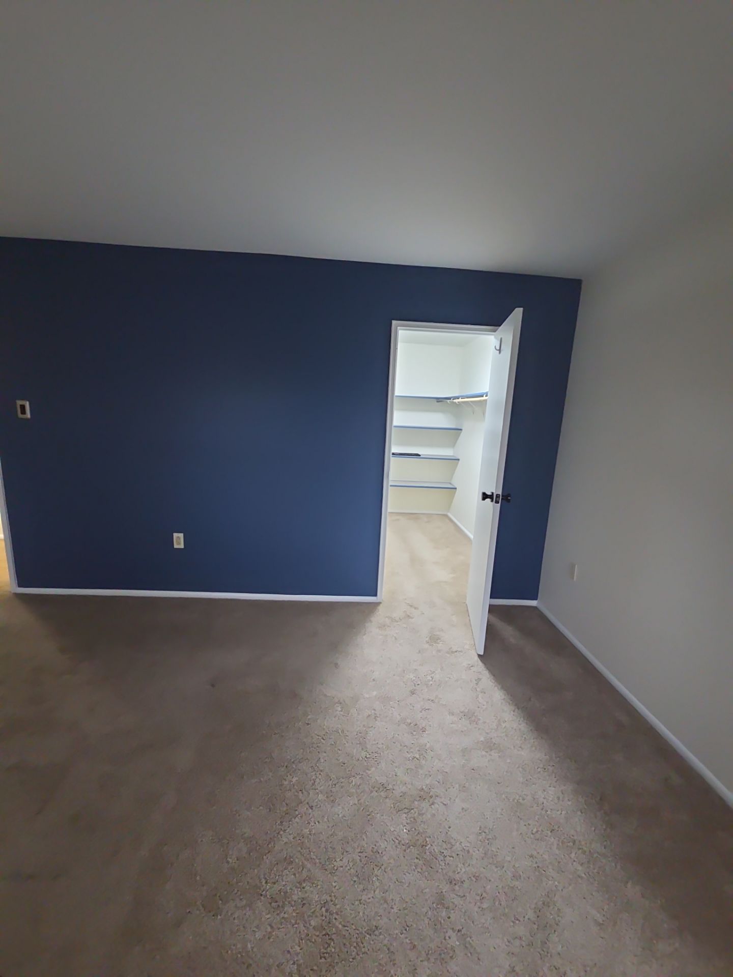 Whole Home Interior Refresh in Ambler by Groovy Hues