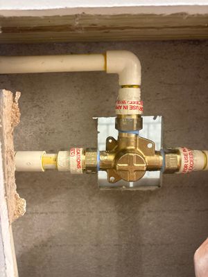 Shower Valve Replacement and Plumbing Hardware Update in Tampa