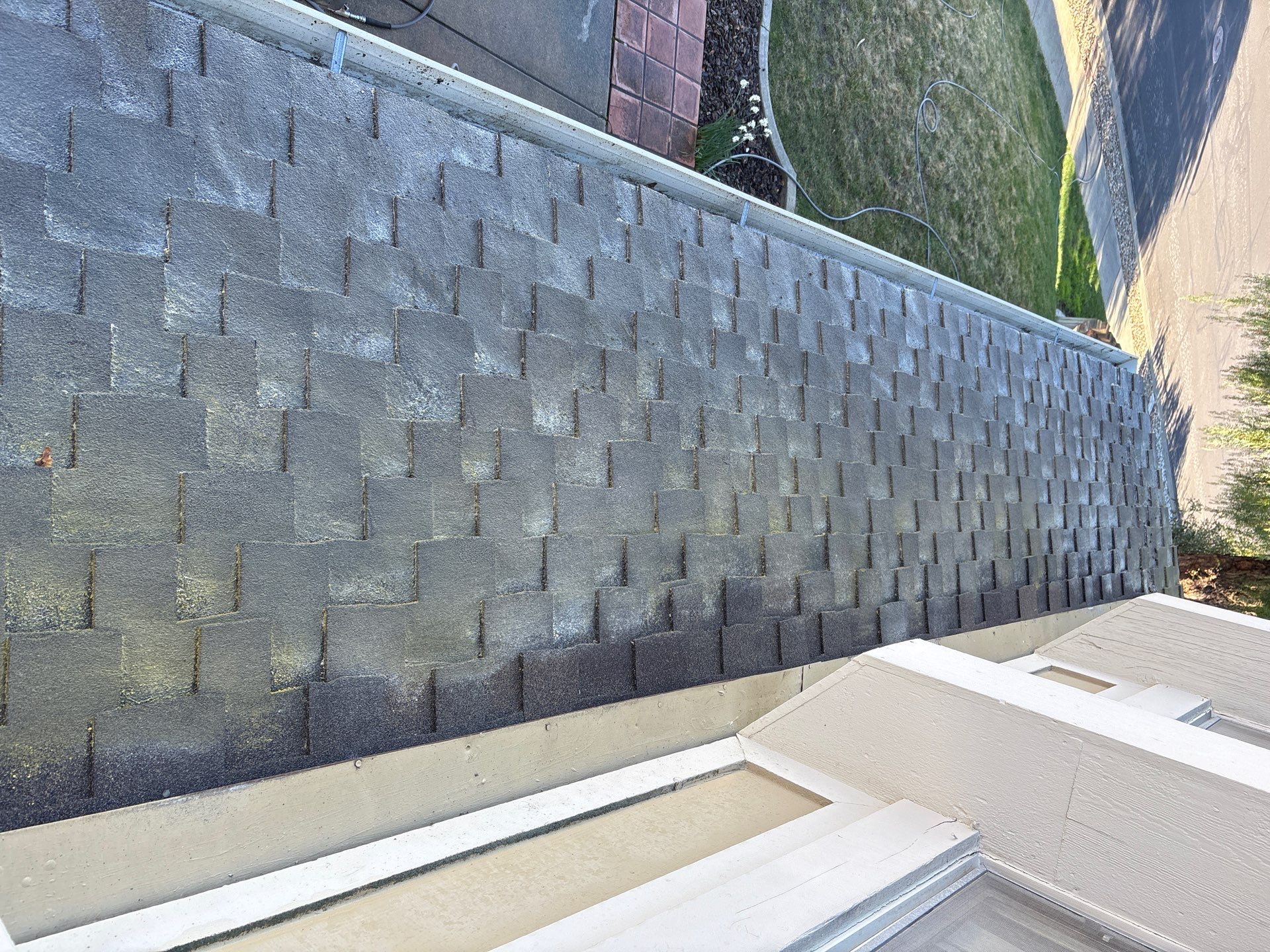 Moss Removal by Top Elevation