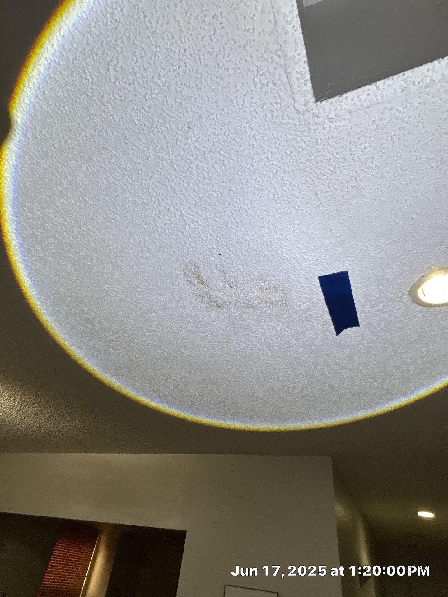 Mold Removal In Sarasota Florida by Ampm Restoration Services