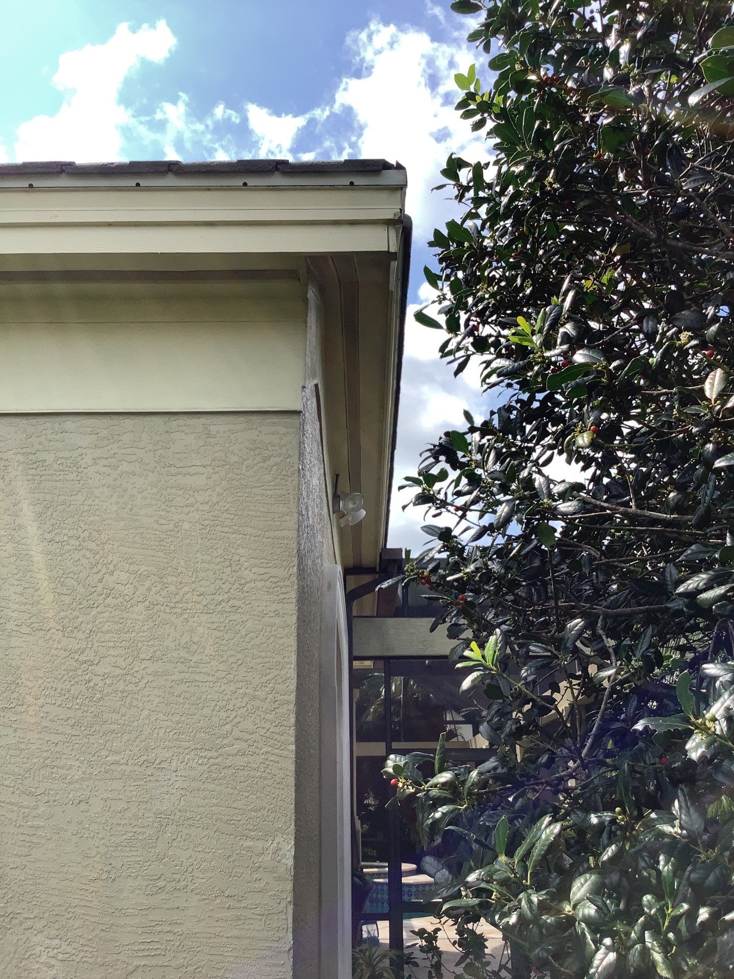 Gutter Project 7 inch seamless gutters using Cameo Gutters in Sarasota FL by Gutter Professors