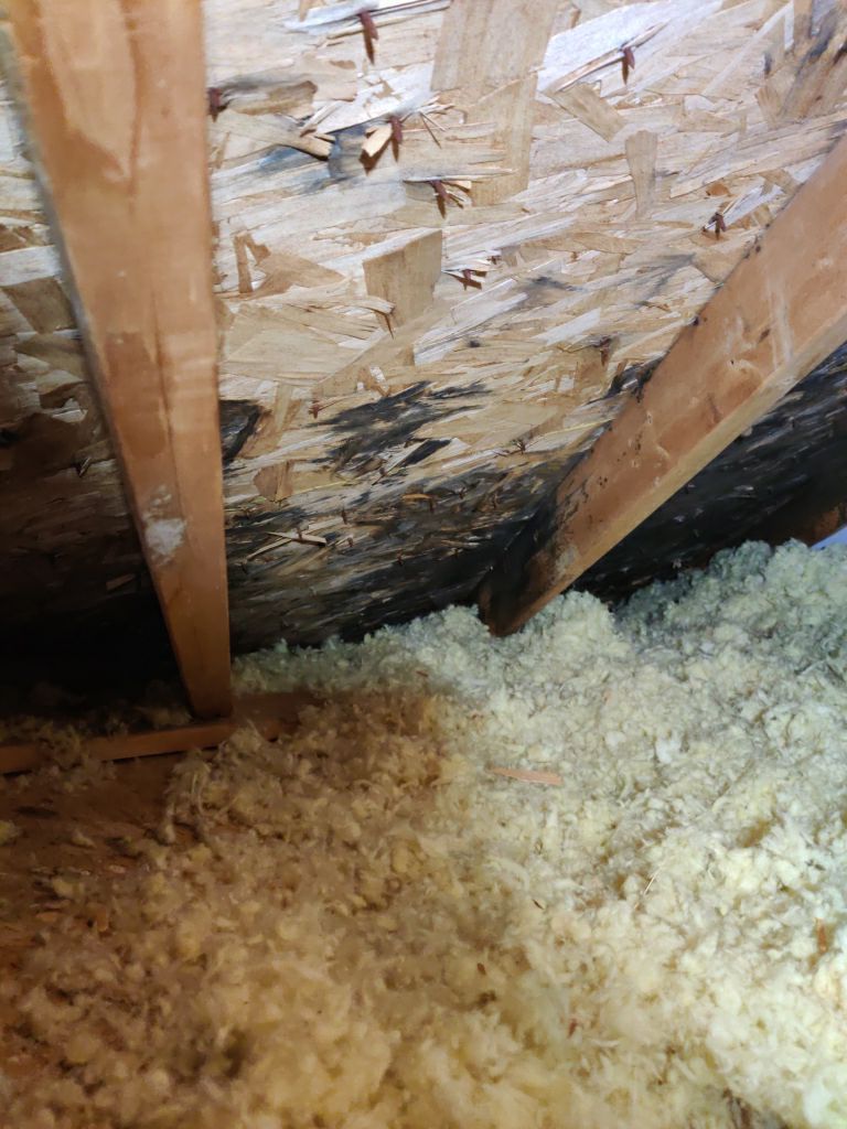 Mold Remediation Cleanup in Attic by Accountable Home Services