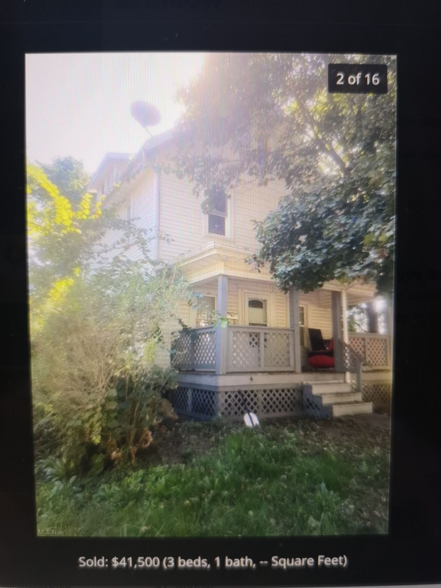 Tree Trimming using Tree Pruing by Mike Jones & Sons Tree Service LLC 