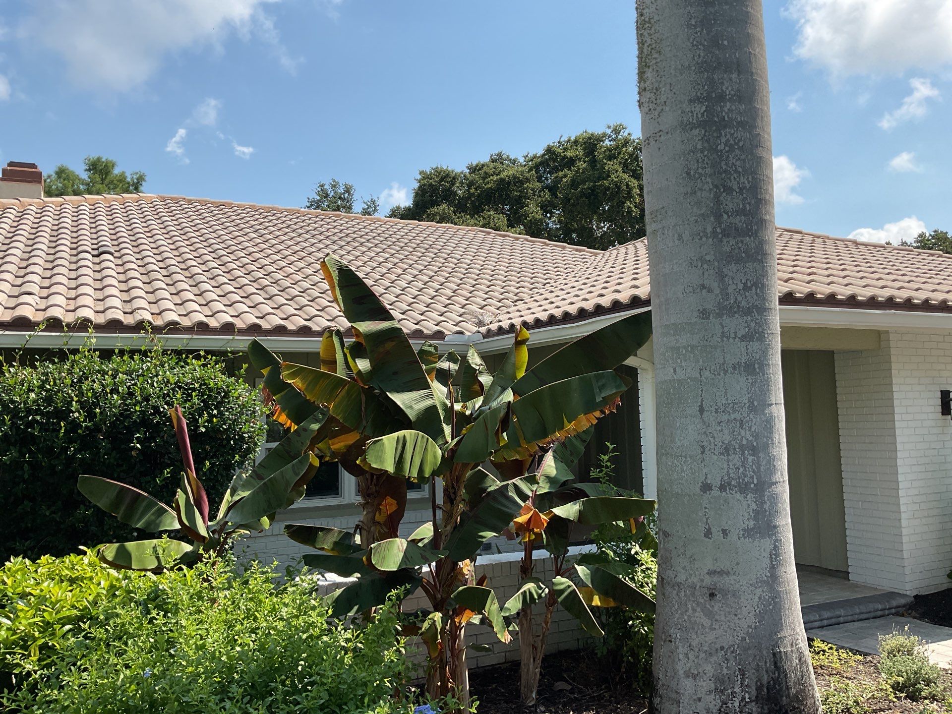 White Gutter Installation in Sarasota FL by Gutter Professors