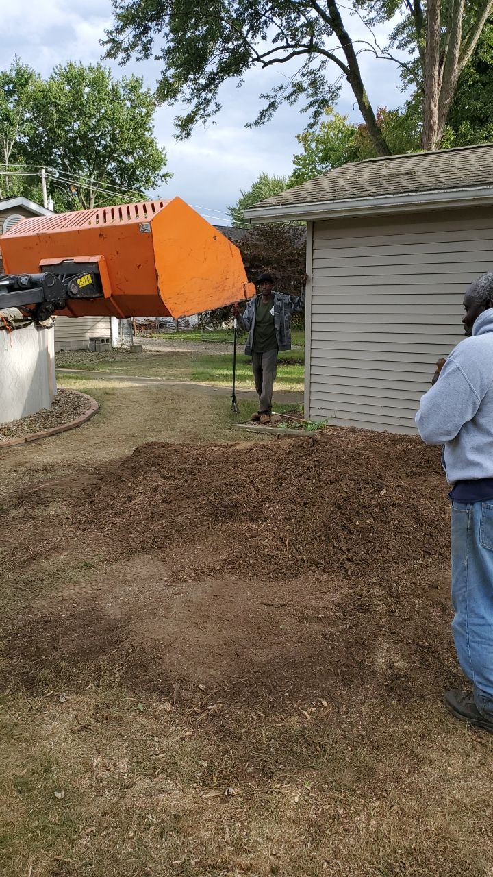 Oak Tree Removal by Mike Jones & Sons Tree Service LLC 