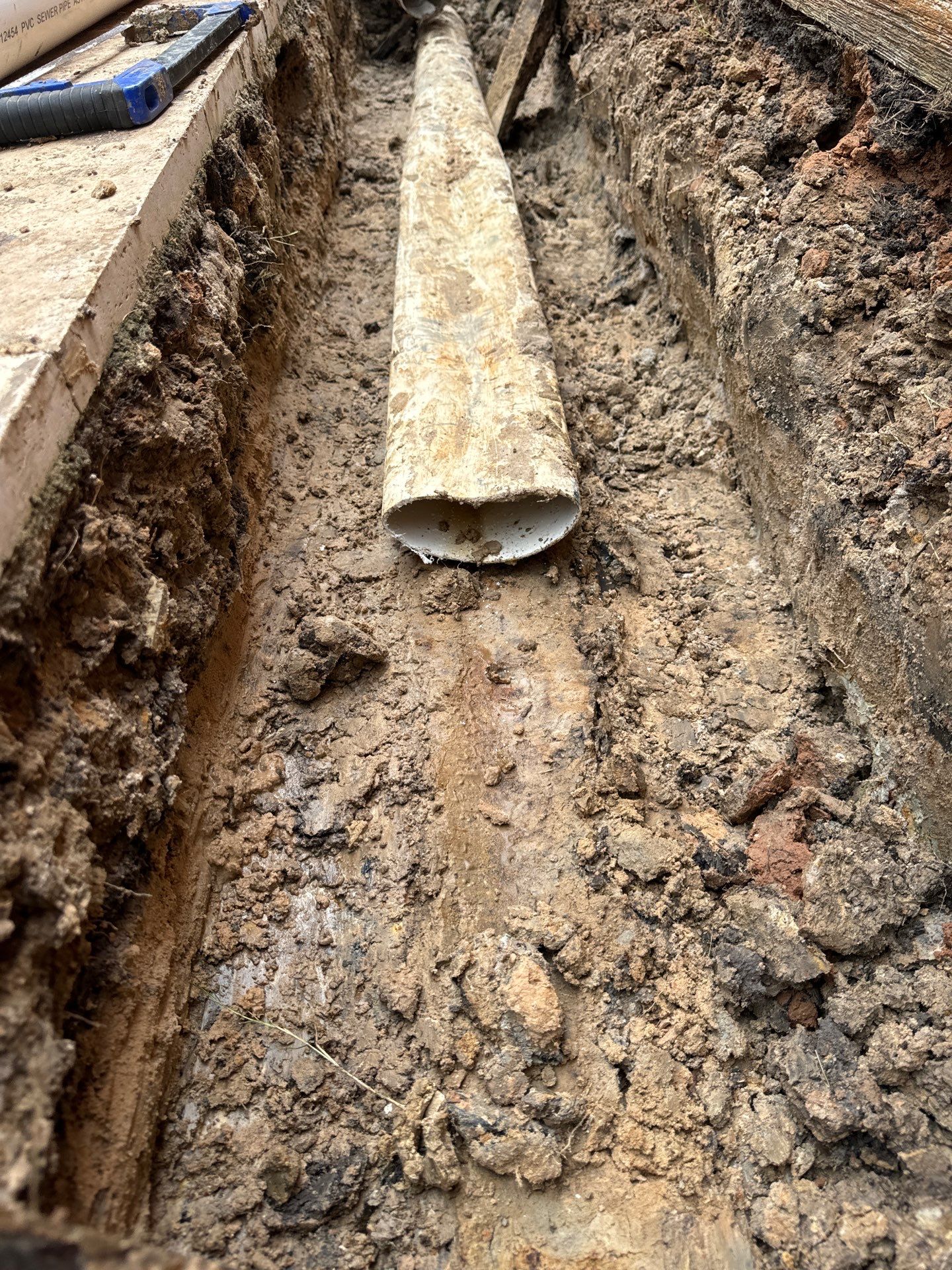 🌿 Pamela’s Backyard Makeover by Texas Urban Elements