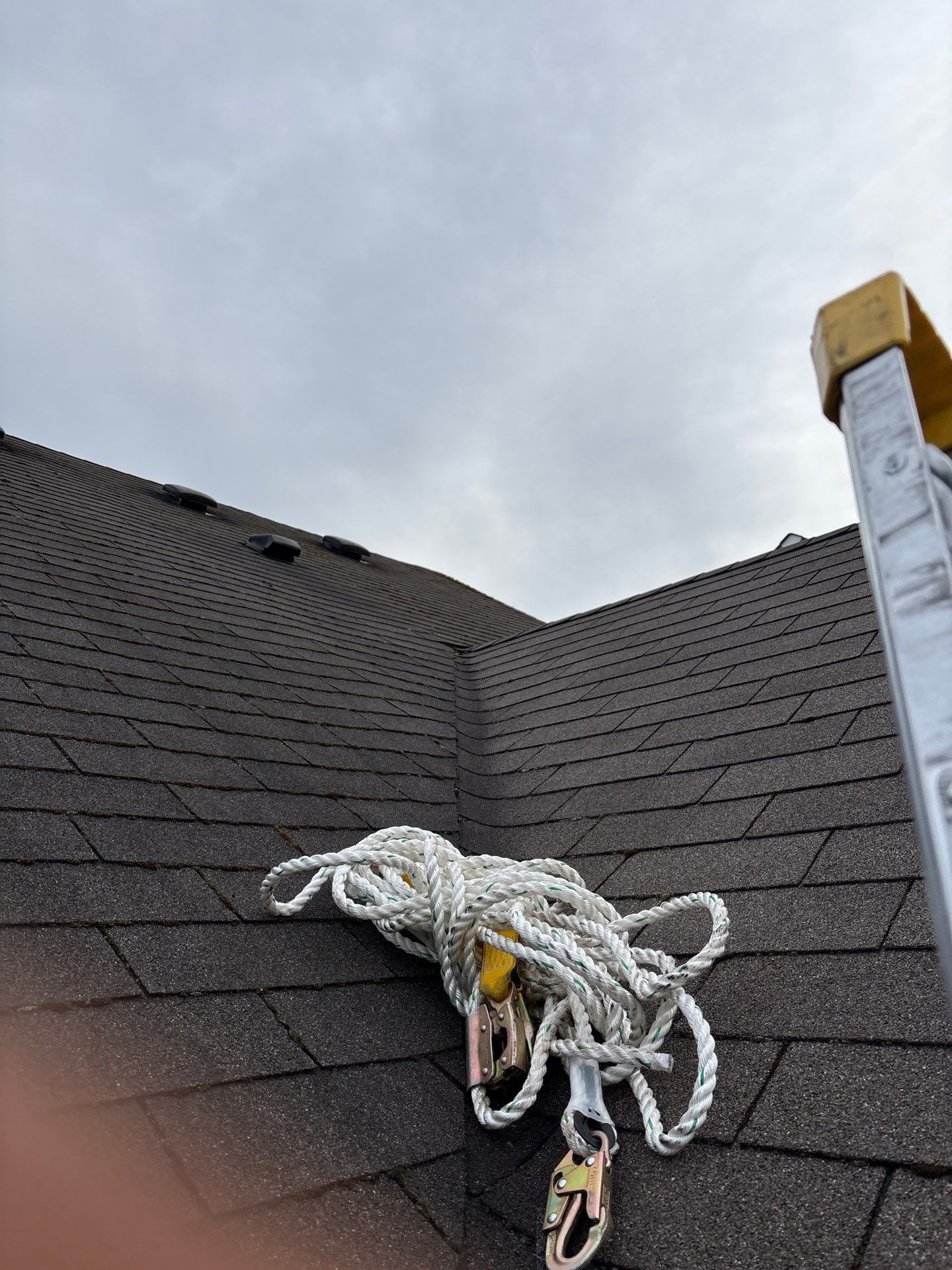 GAF Timberline HDZ, Barkwood  by Proline Roofing & Restoration LLC