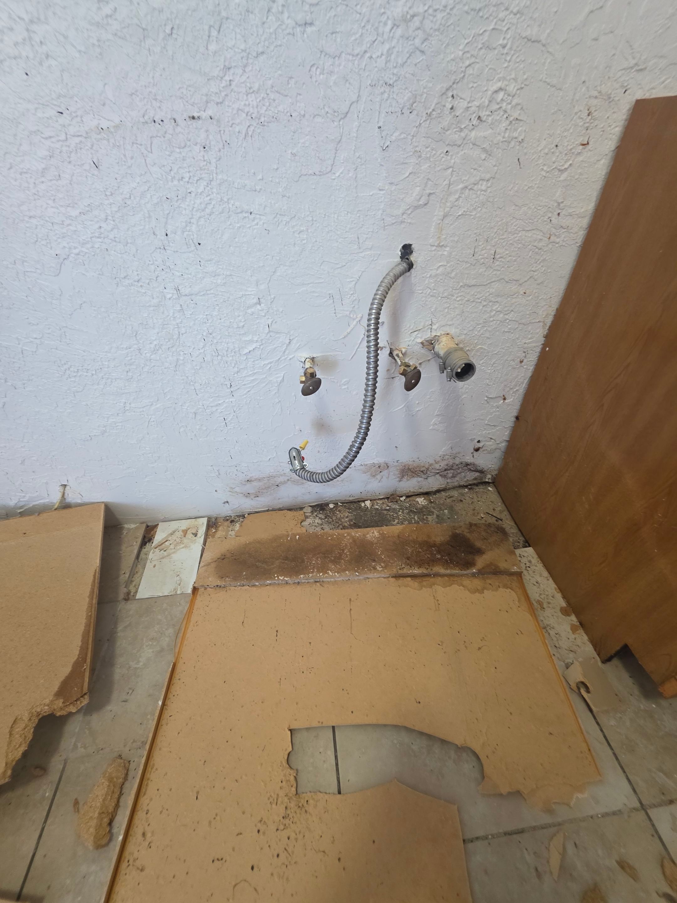 Project in St. Petersburg by Bay Coast Restoration 