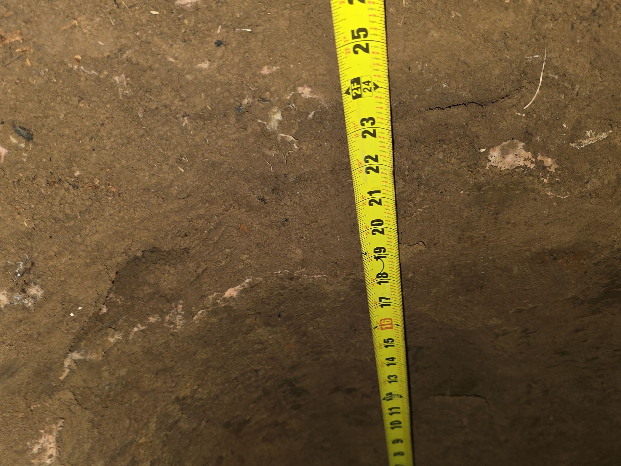 Sherwood Project by JustRadon.Com