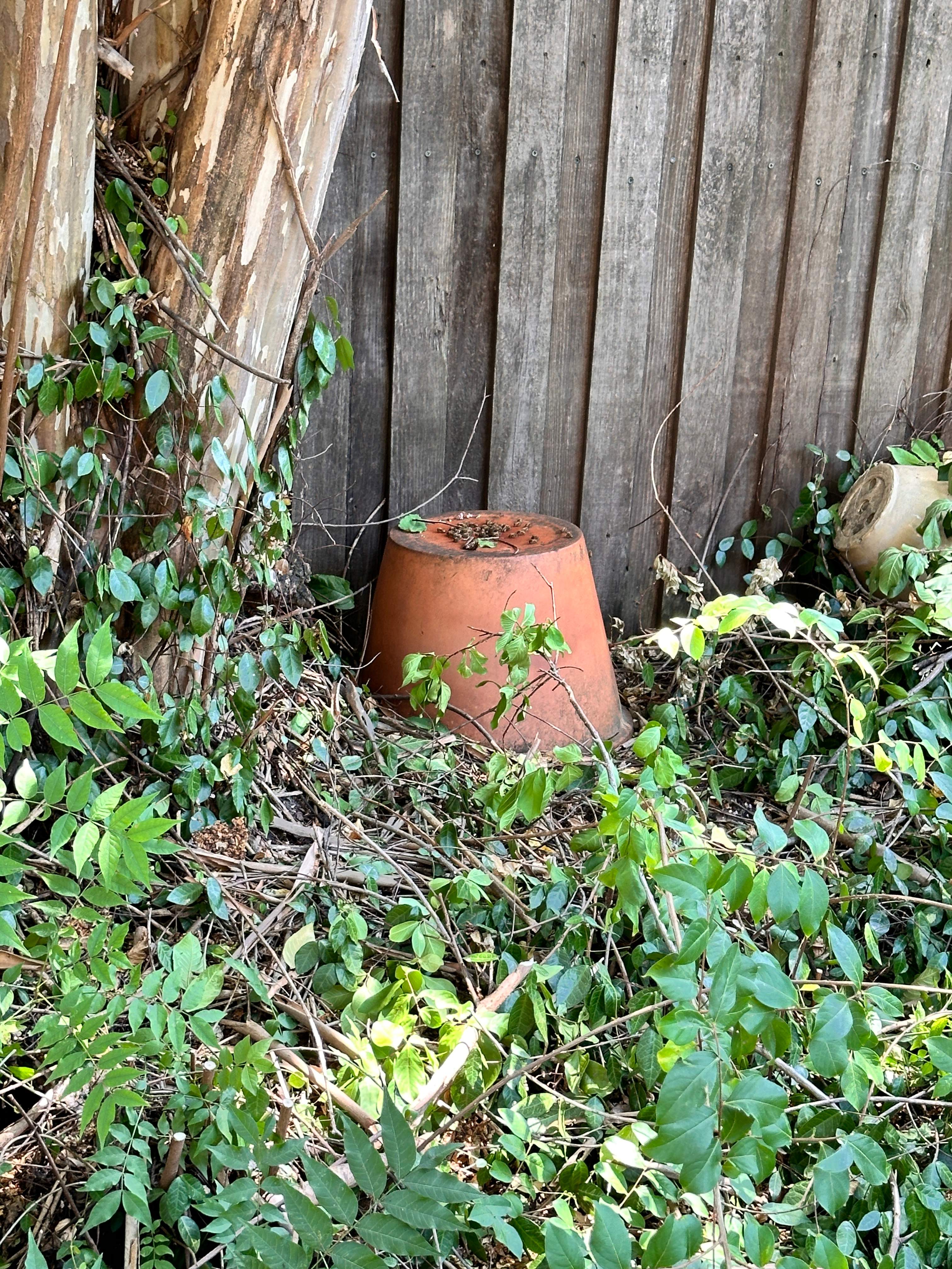 Pot-in-a-Pot by Rockwall Honey Bee Company