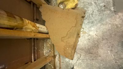 Sewage Backup Cleanup — Fort Myers, FL