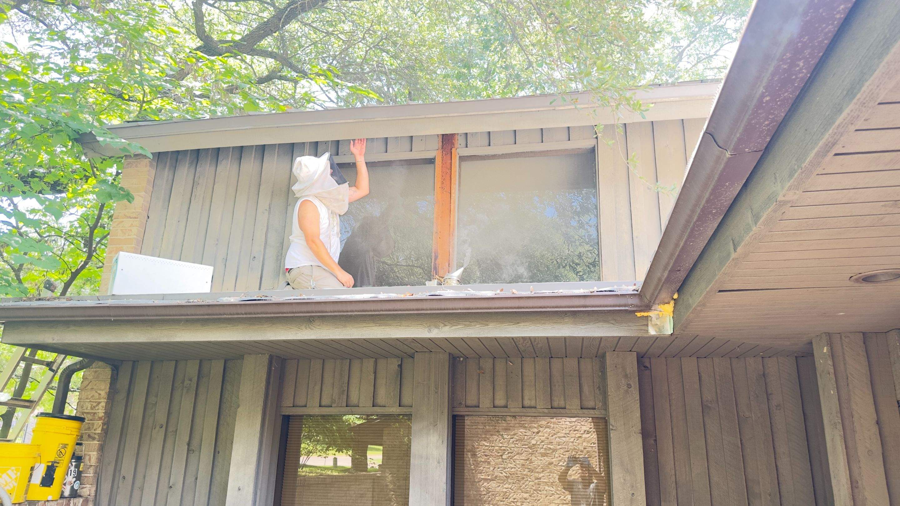 Old Faithful by Rockwall Honey Bee Company