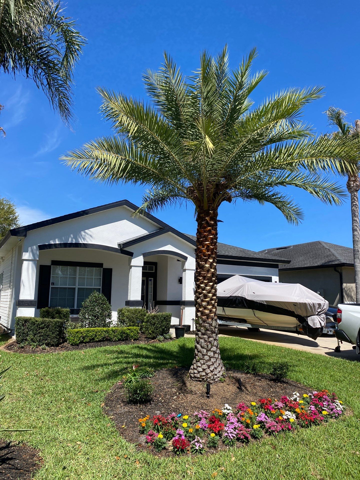 Residential | Tree Service by ProGreen Services
