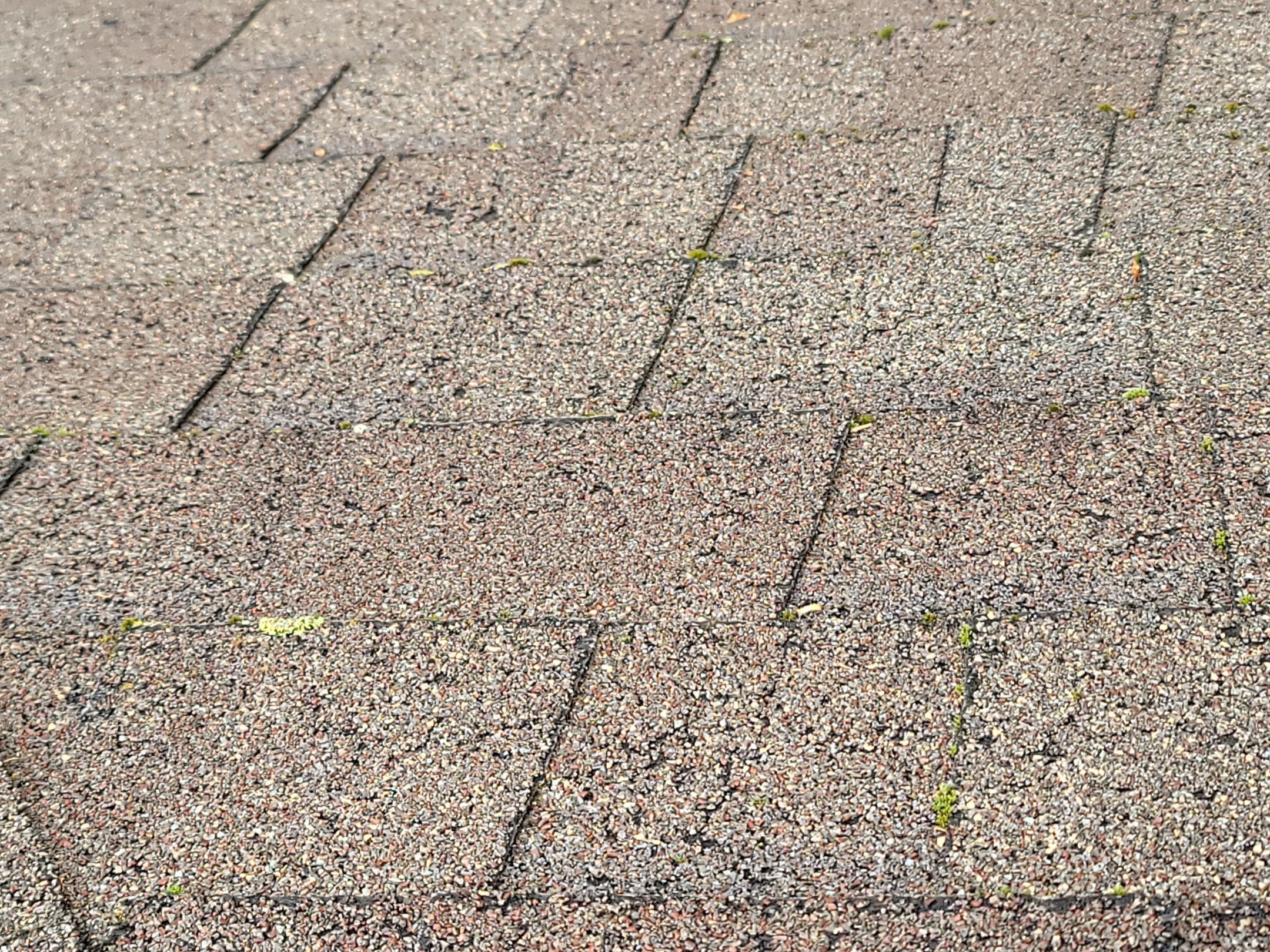 ATLAS PINNACLE COLOR: BLACK SHADOW by Eagle Eye Roofing