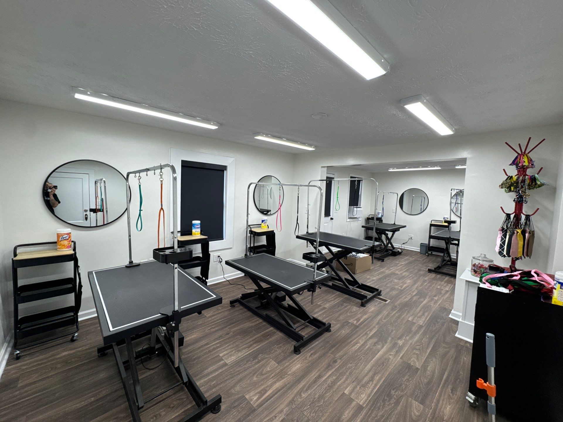 Commercial Pet Grooming Salon Interior Remodel in Powder Springs by Swift Home Renovations