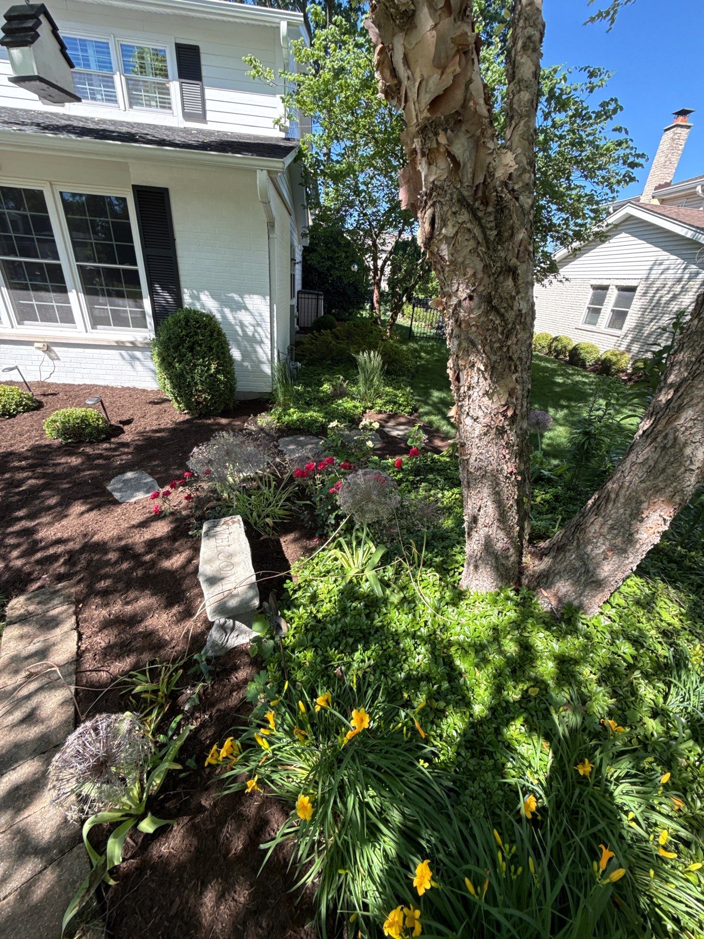 Lesley D. - Arlington Heights, IL by A&N 