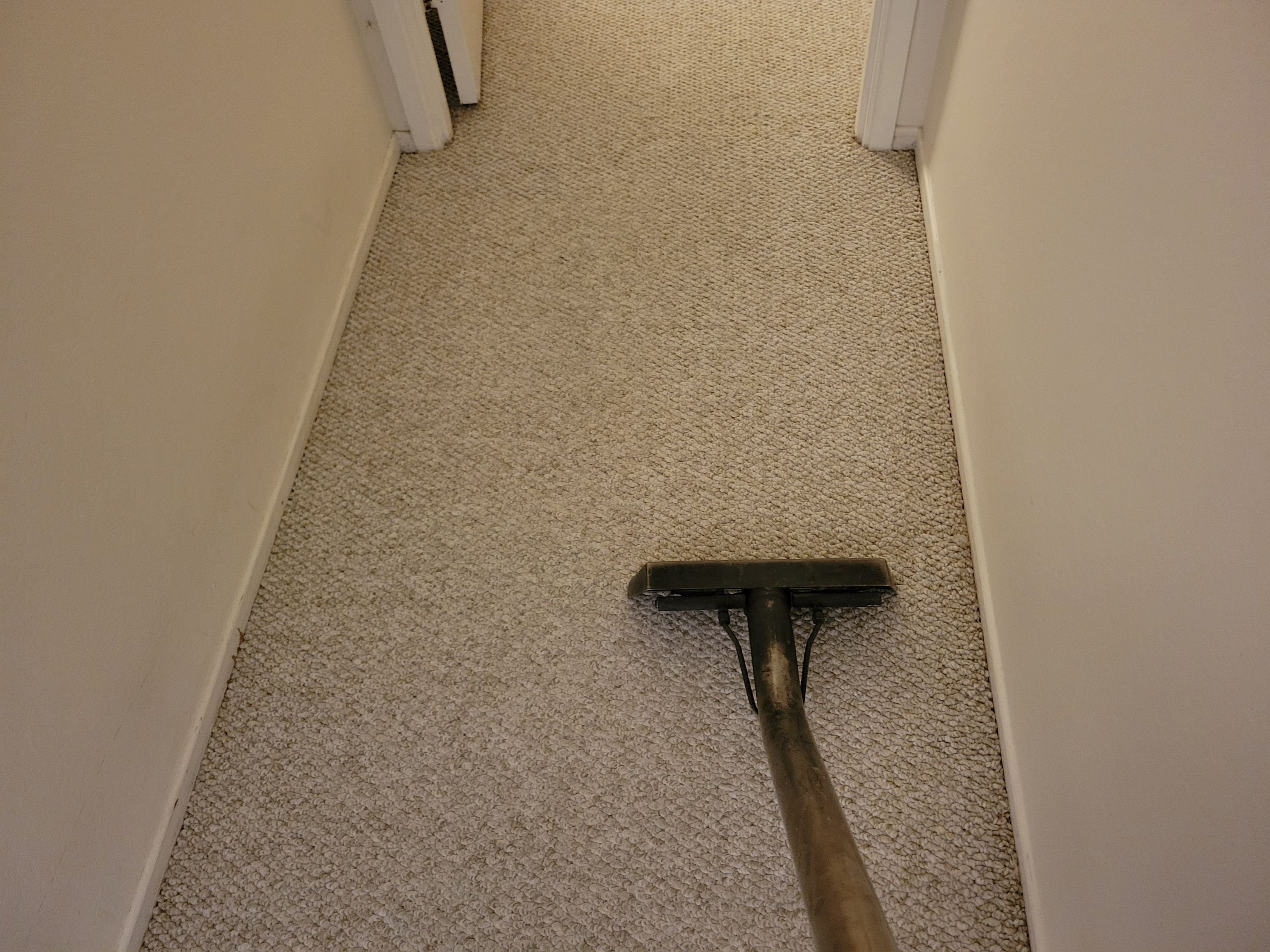 Annual, Home Carpet Cleaning by Ardent Carpet Restore LLC