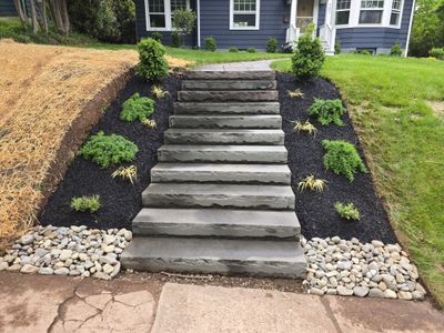 Landscape Planting 
