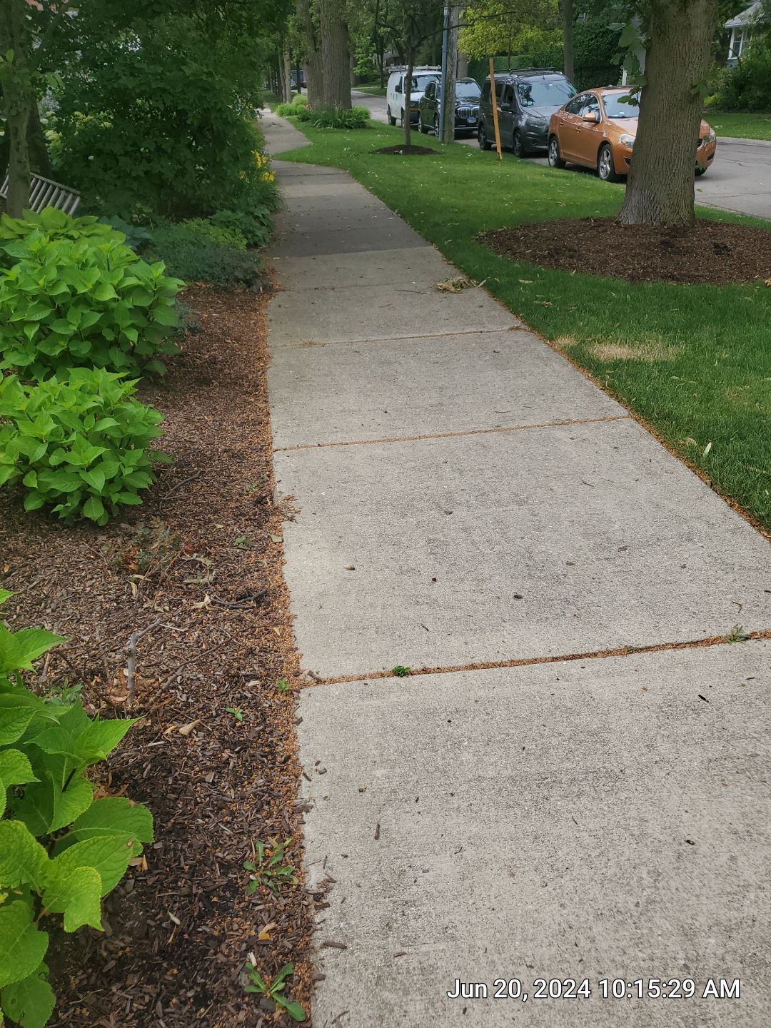 concrete cleaning using Algaecide, soft wash soap by Northern Power Washing LLC.