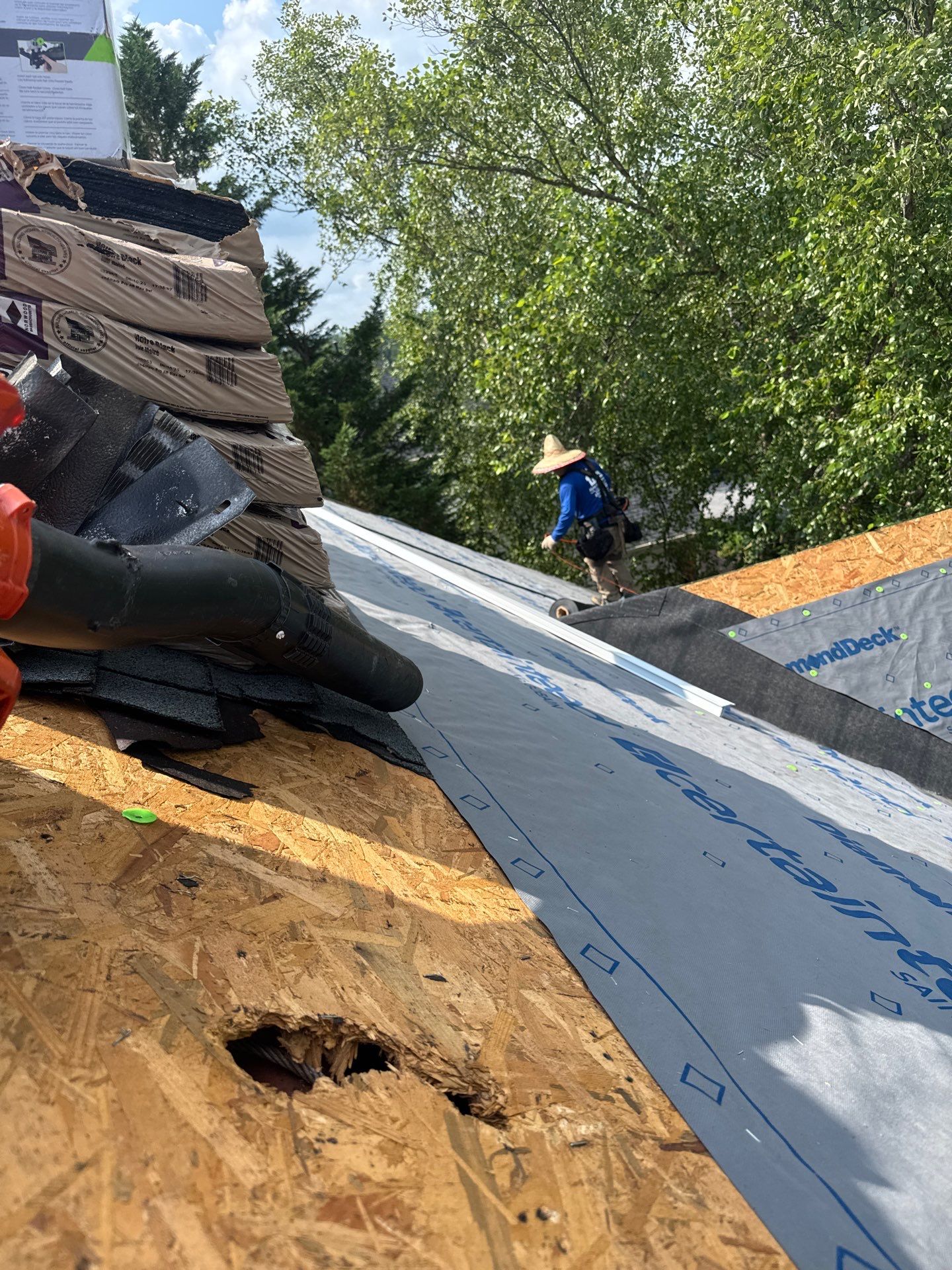 New Shingle Roof & New Gutters and downspouts with covers by Alpha Design Services