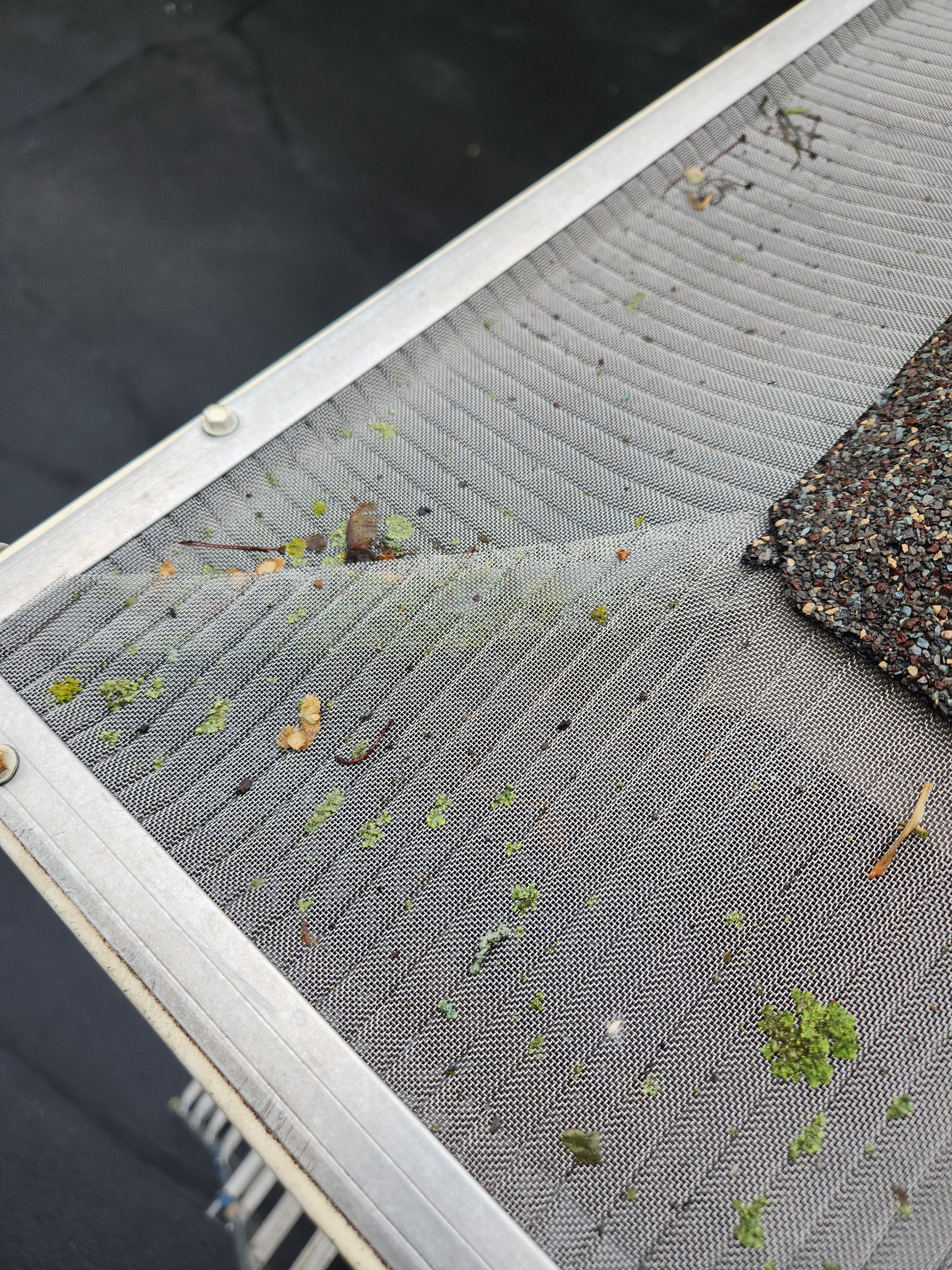 Leaf Blaster Pro Covers in Greenfield, MN by Next Level Seamless Gutters / Exteriors Inc.