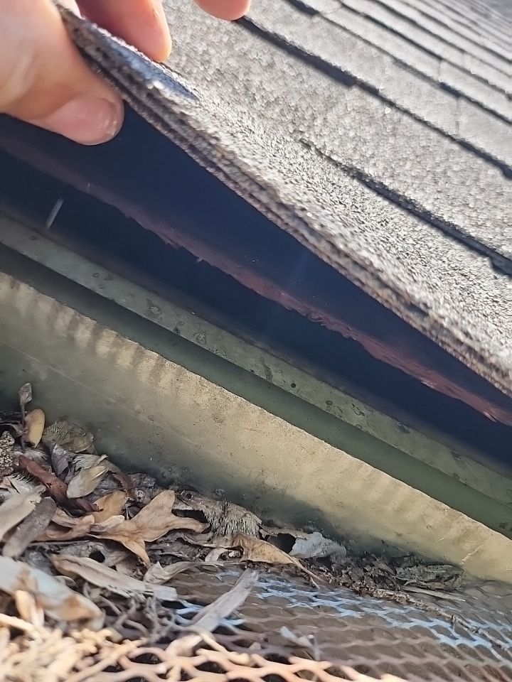 House Wash using cleaner by Power Wash Masters LLC