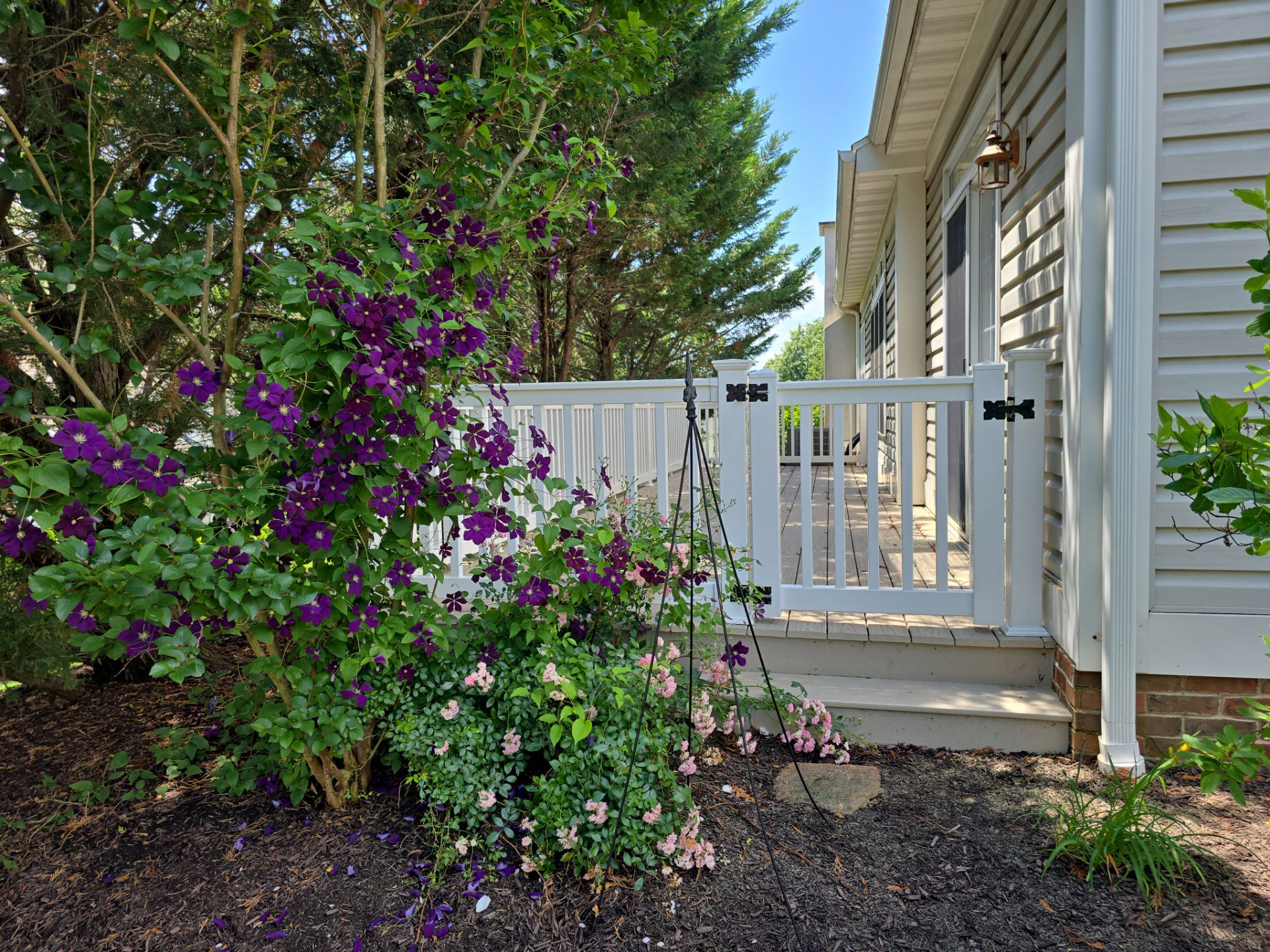 New Deck Build in Oak Hill by Wyomissing Construction LLC 