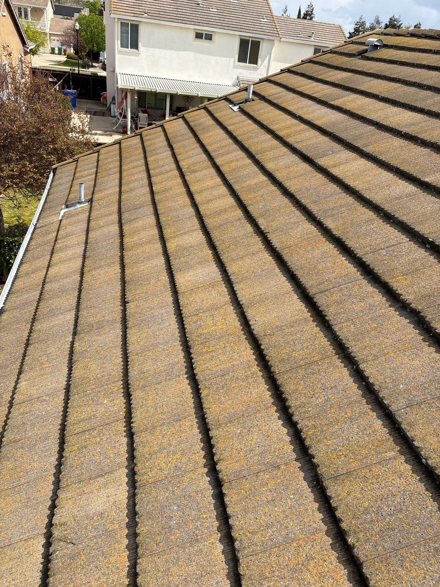 Moss Removal by Top Elevation