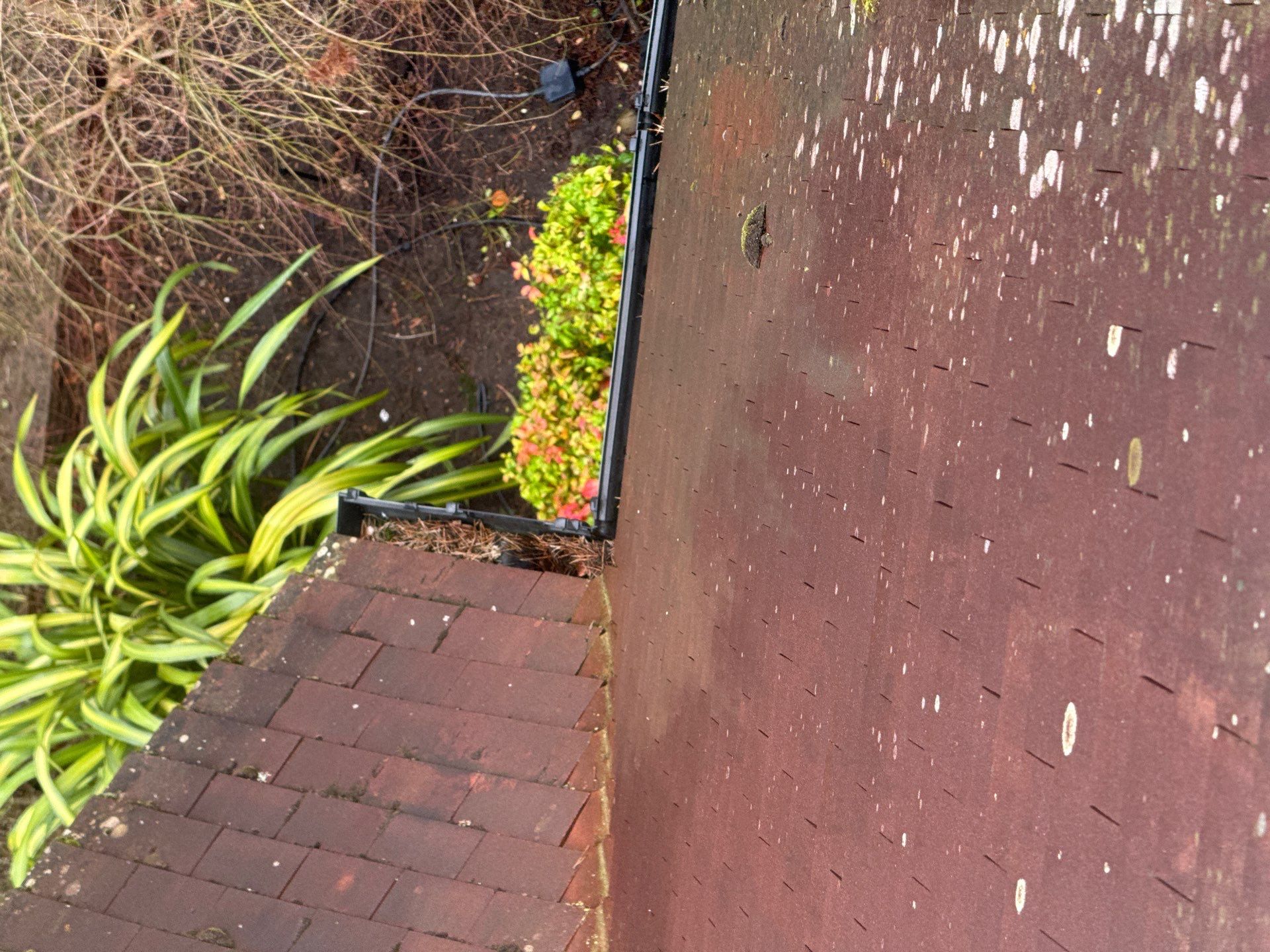 Roof - Driveway - Patio Clean using 18inch Whirlaway FSC by Ges Exterior Cleaning ltd