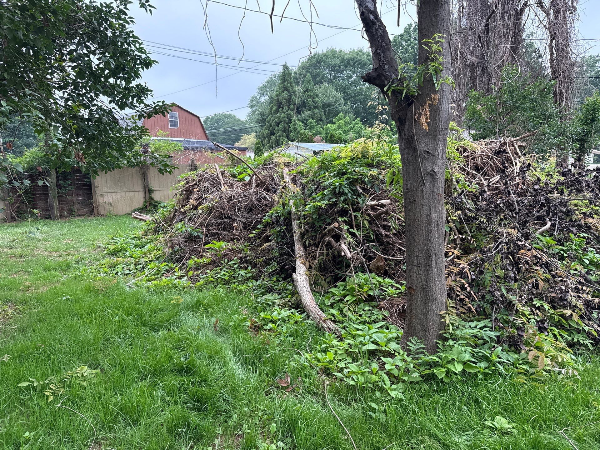 Project in Charlotte by Badger Hauling