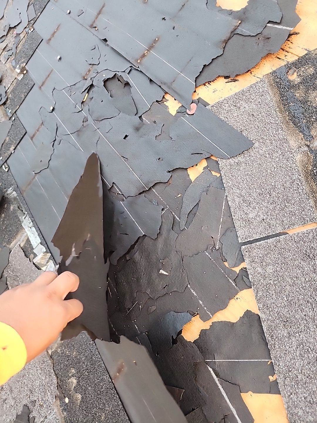 Residential Roofing Installation using Owen's Corning Duration (Lifetime) Shingles by Roof Repair Company