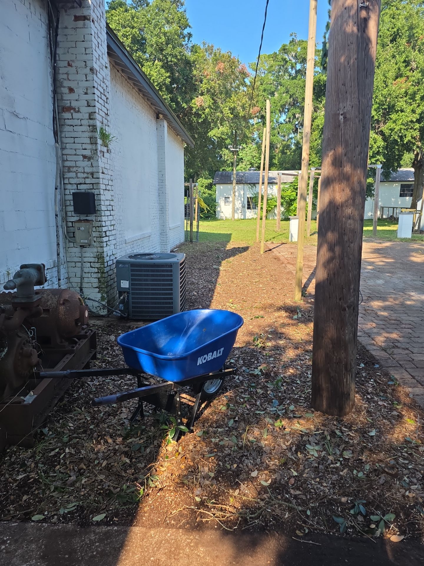 Commercial Property | Clean Up & Tree Removal by ProGreen Services