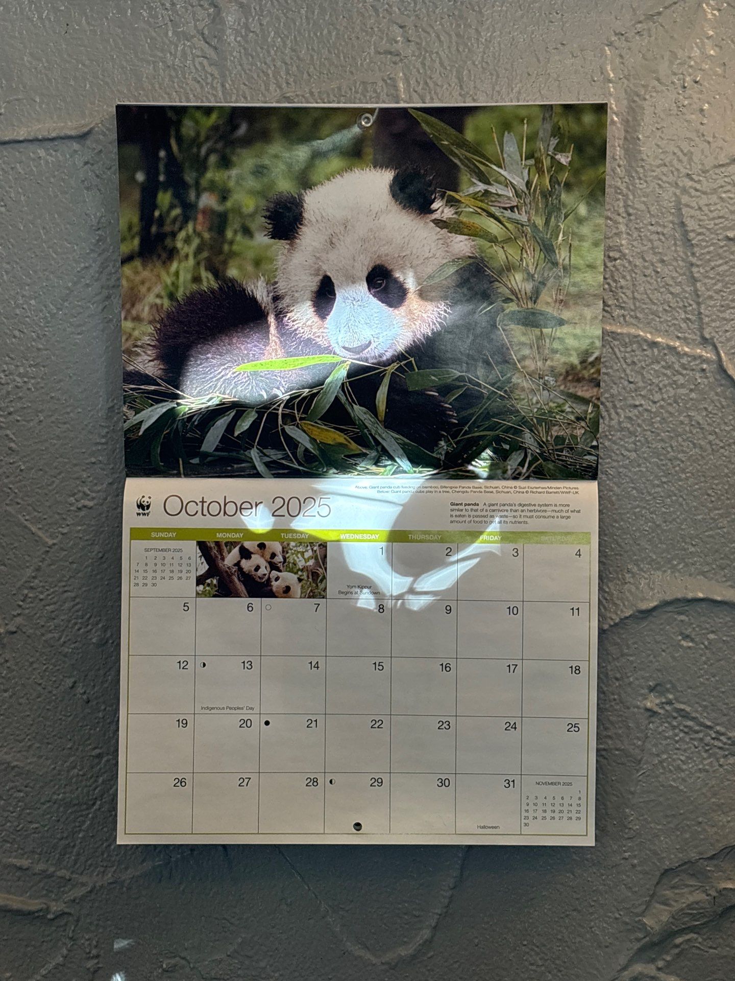 Drew's House by CompanyCam | Account Management Demo Account