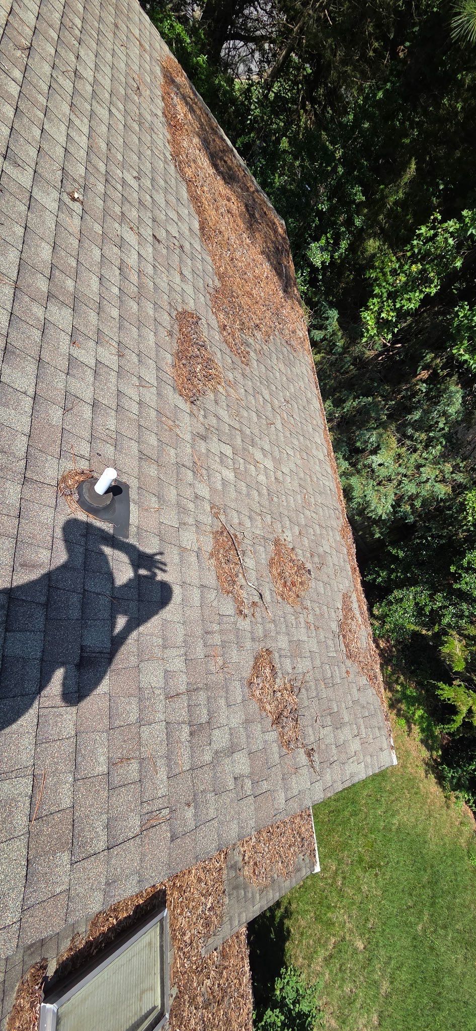 Project in Richmond by Roof Maxx of Midlothian