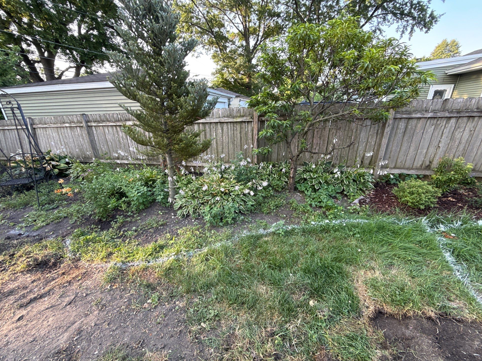 Joanne C. - Mount Prospect, IL by A&N 