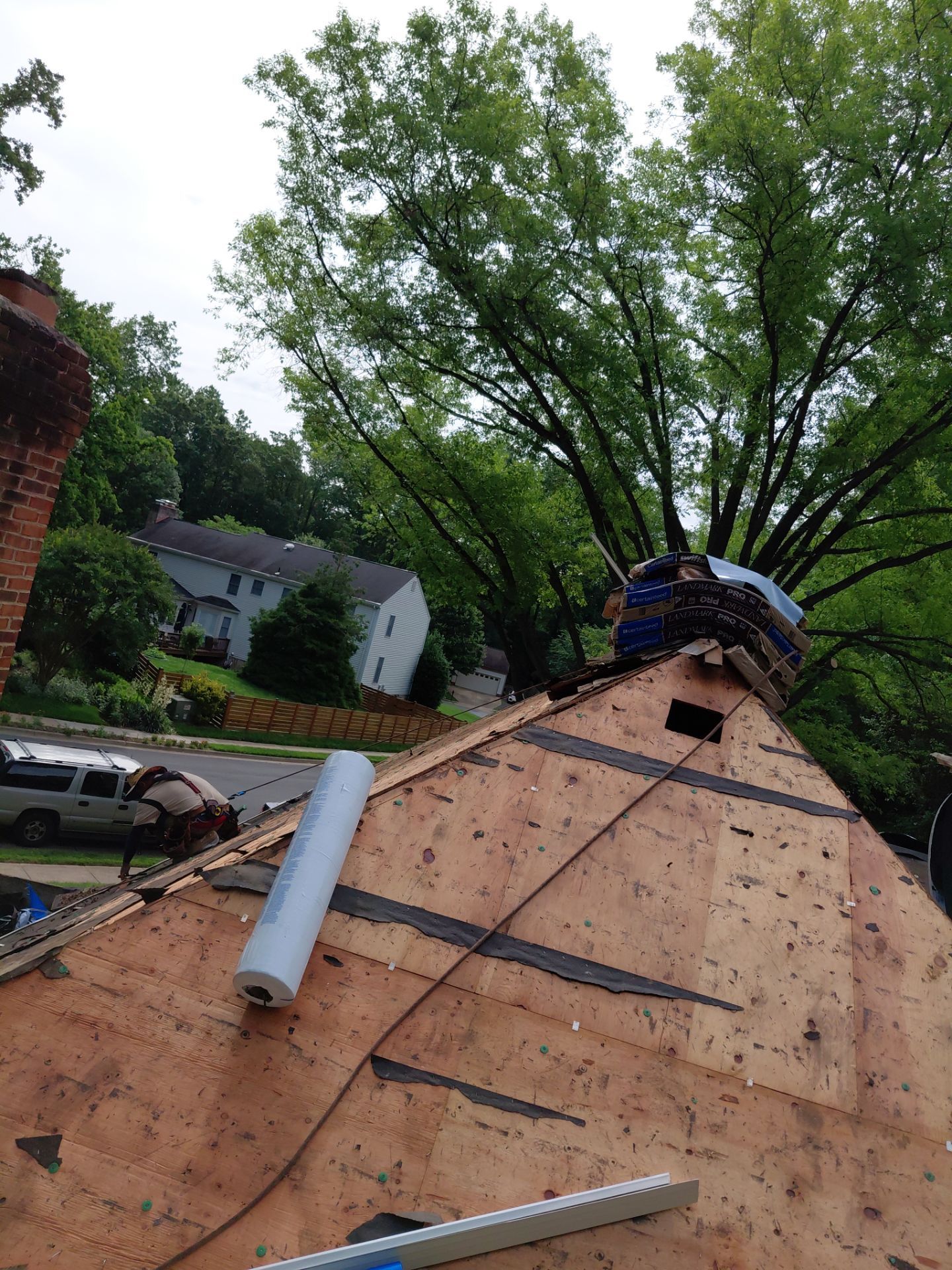 Springfield: Roof Replacement with CertainTeed Landmark Pro in Max Def Evergreen by RM Banning, Inc.