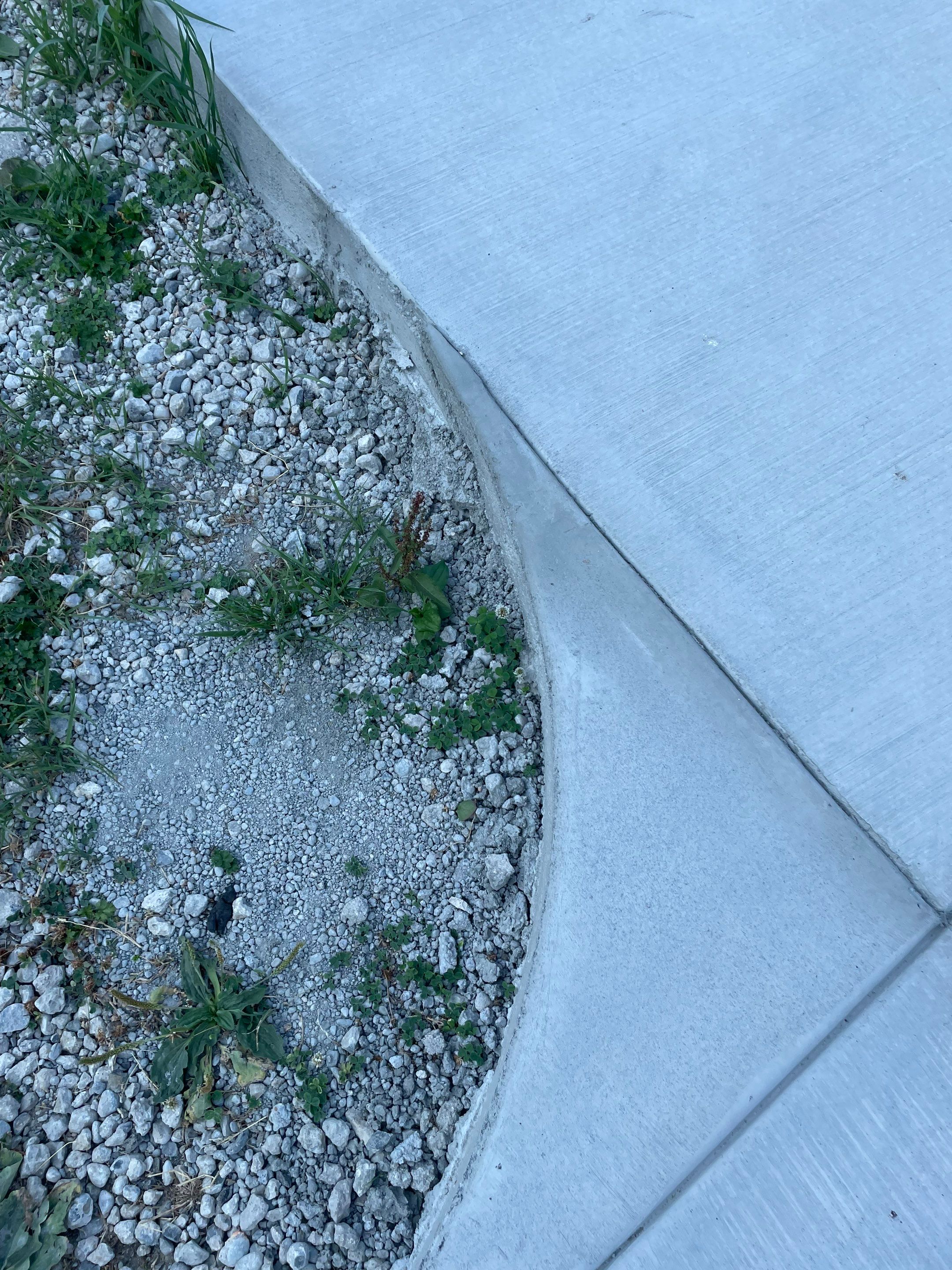 Lauren | Concrete Driveway, Back Patio & Asphalt Patch Repair  by Jireh Asphalt & Concrete Inc 