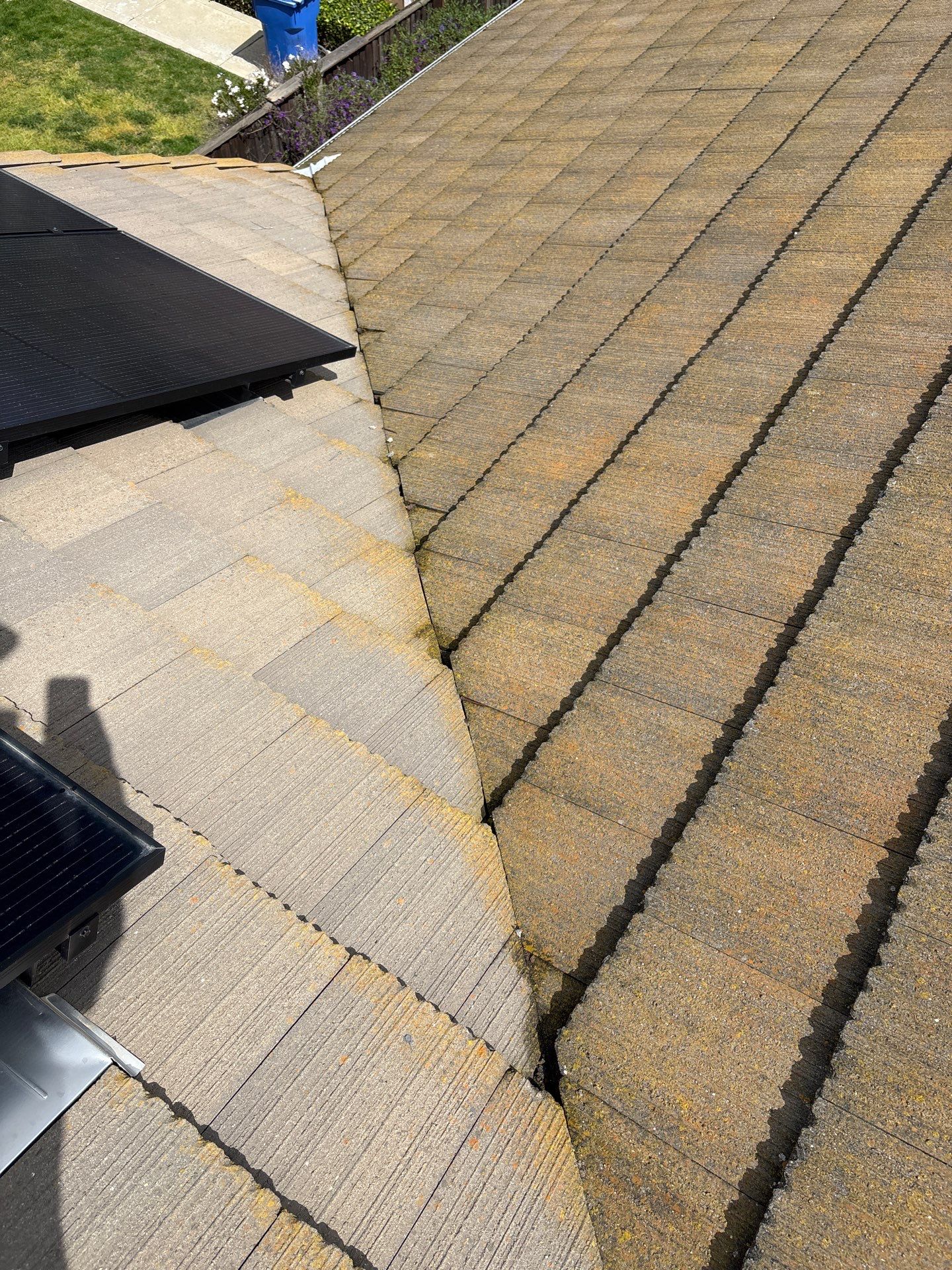 Moss Removal by Top Elevation