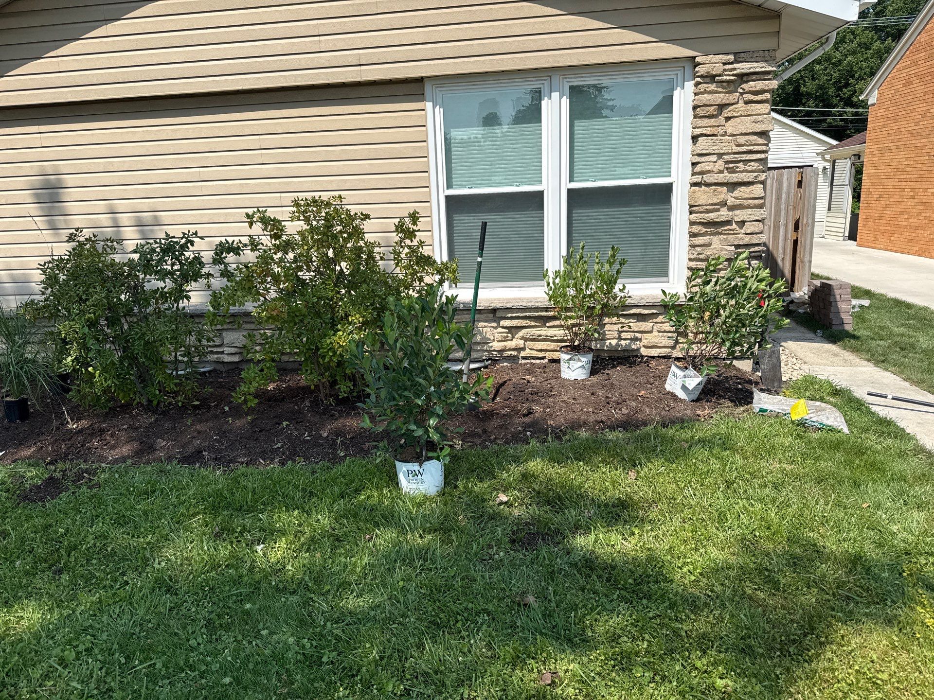 Jamie E. - Arlington Heights, IL by A&N