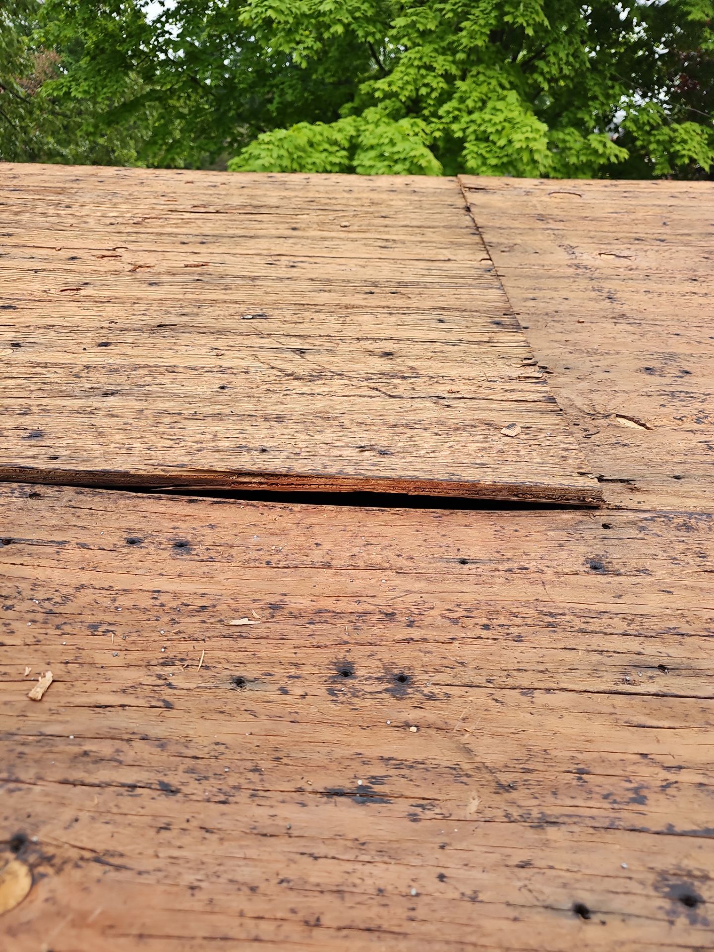 Residential Roofing Installation using Tamko Titan XT - Virginia Slate by A Plus Exterior