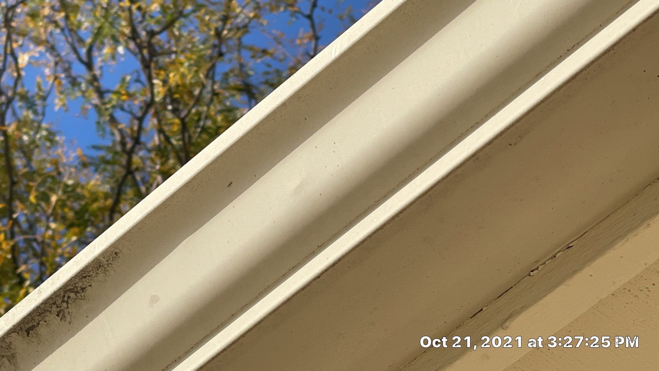 Residential Roofing Installation using DaVinci Bellaforte Slate in Slate Black by Eaton Roofing 