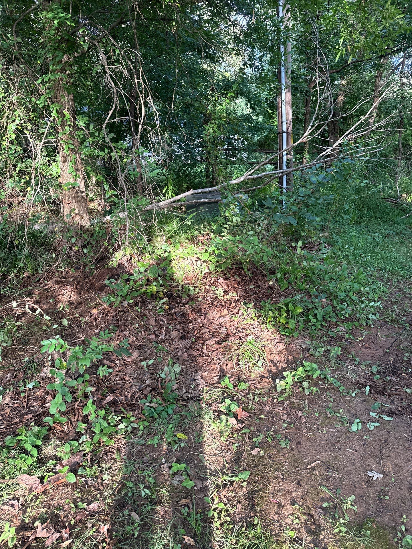 Project in Indian Trail by Badger Hauling