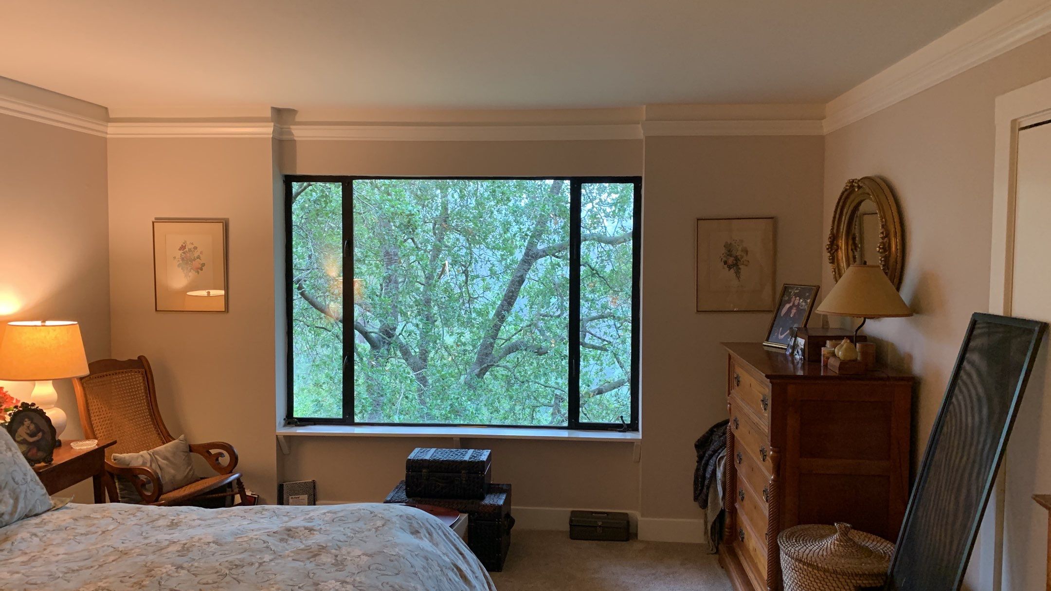 Alisa’s House by SpotFree Window Cleaning