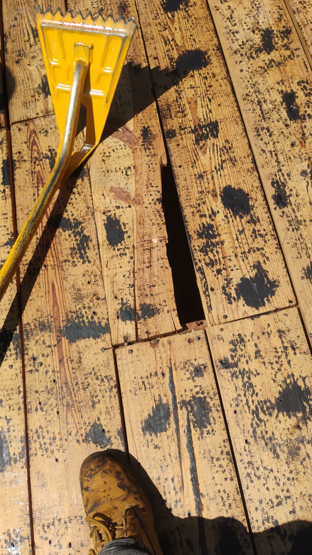 Project in Seminole 33772 by Mitchell Roofing Company LLC 